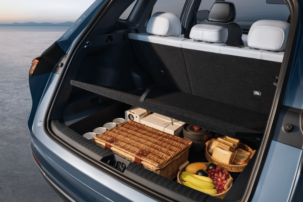 GEELY STARRAY EM-i